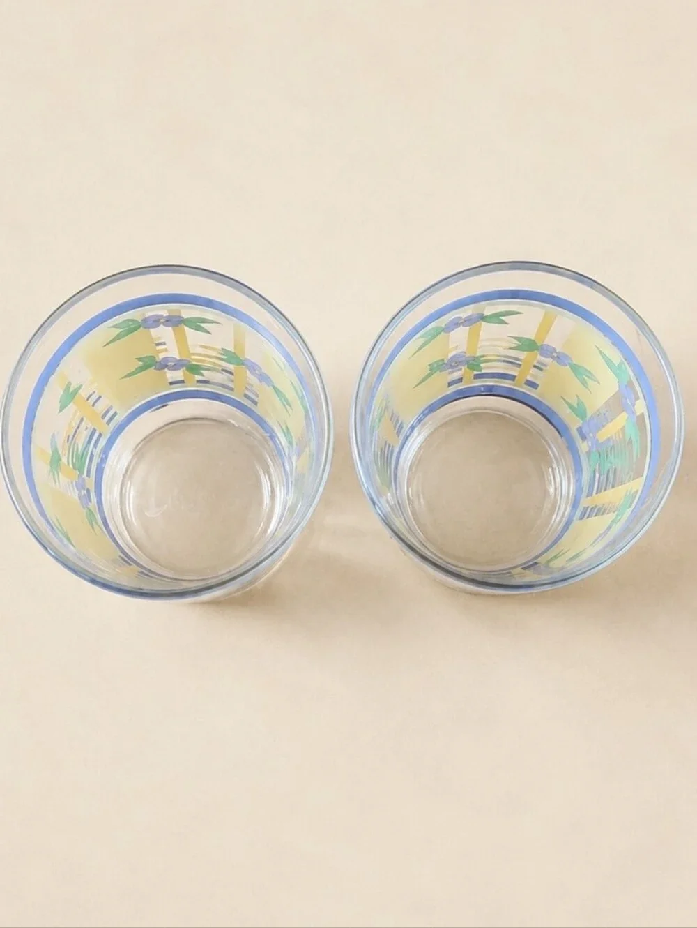 Pfaltzgraff Summer Breeze 16 Oz Cooler Glasses Libbey Set of 2